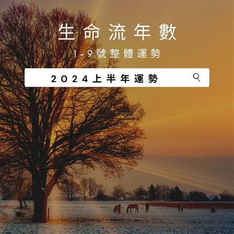 八字流年2024|2024運勢如何？計算我的生命流年數，了解如何規劃。